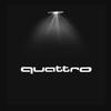 For Audi 8L 2pcs Car Door Welcome Lights for Audi A1 A3 8P 8V A4 A5 A6 A7 A8 Q3 Q5 Q7 Q8 Sline TT  S3 S4 S5 Logo Projector Ghost Shadow Lamp