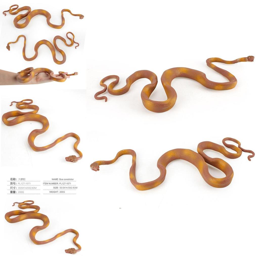 Realistic Python Captivating Snake Model Perfect For Educational And Purposes Decorative