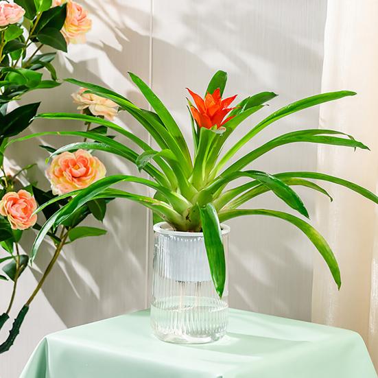 Self Watering Plant Pot Clear with Wick Ropes Plastic Flower Pot Water Reservoir Vertical Stripes Design