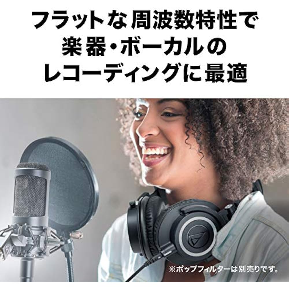 Audio-Technica AT2035 Condenser Microphone Single Directional/Low Cut Switch/Pad Switch/Exclusive...