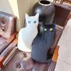 Cartoon Black Cat Throw Pillow Plush Toy Back Cat White Cat Doll Girl Sleeping Soothing Rag Doll