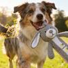 Cães – Brinquedos para cães