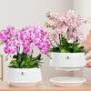 Geteilter Typ Netztopf Orchideentopf Verdickung Wurzelkontrolle Blumentopf Anzuchttöpfe Gartenbau Pflanzen