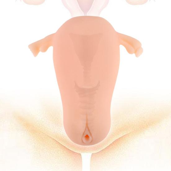 Convenient Sex Toy Vagina Real Pussy Sucking Easy Cleaning Portable