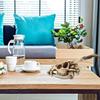 Imitation Wild Goat Skull Desktop Ornaments Home Interior Decor for Creative Model for Home Indoor Desktop Decoration Art Crafts