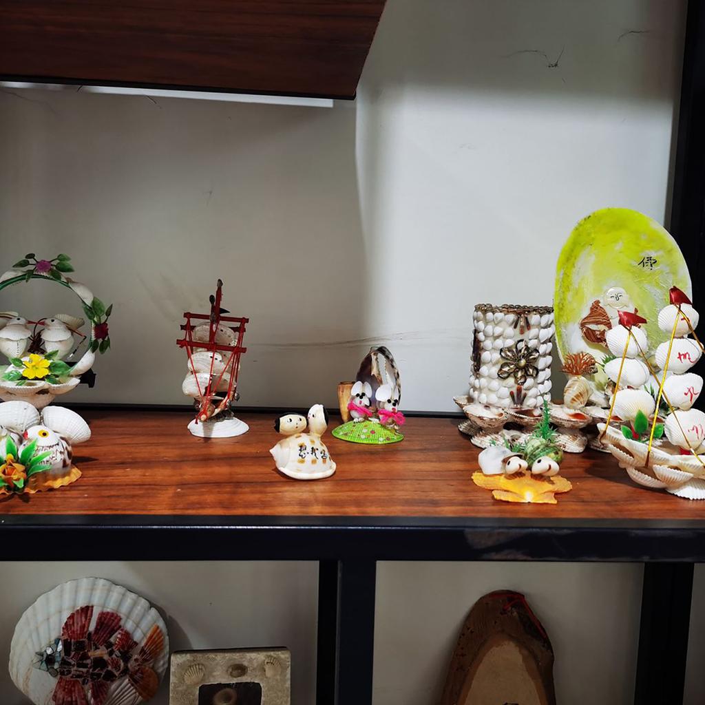 10pcs DIY White Seashells Perfectly For Handcrafting And Painting Activities For Kids And Adults House Decoration