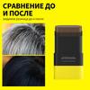 Bâton de coloration capillaire 2 en 1 avec peigne Noir Marron Café Longue durée Temporaire Coloration capillaire Couvre les cheveux blancs Stylo pour la ligne des cheveux Lavable