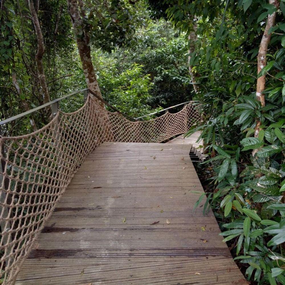 Ochrana rostlin a ovoce Podpora popínavých rostlin Síťovina Nejlepší pružná síť na plot Popínavá síť Konopná síťovina Opakovaně použitelná Venkovní vybavení