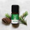 NECHIS ALABFVYE Aroma Essential Oil, Sleep Herb Oil, Fine 12ml