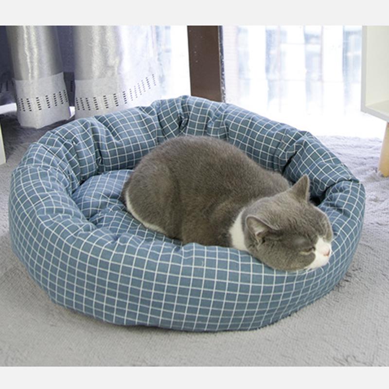 cat tart bed