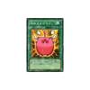 Yu-Gi-Oh! Card Angry Mokemoke RDS-JP043N