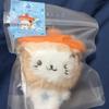NCT sealed(Physical Item) Wish Pocket Wish Doll Bubble Cat Moocy