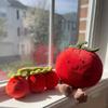 Creative 17cm Tomato Fruits Plush Pillow Soft Stuffed Plush Toy Down Cotton Stuffed Tomato Plush Decor Kids Gift