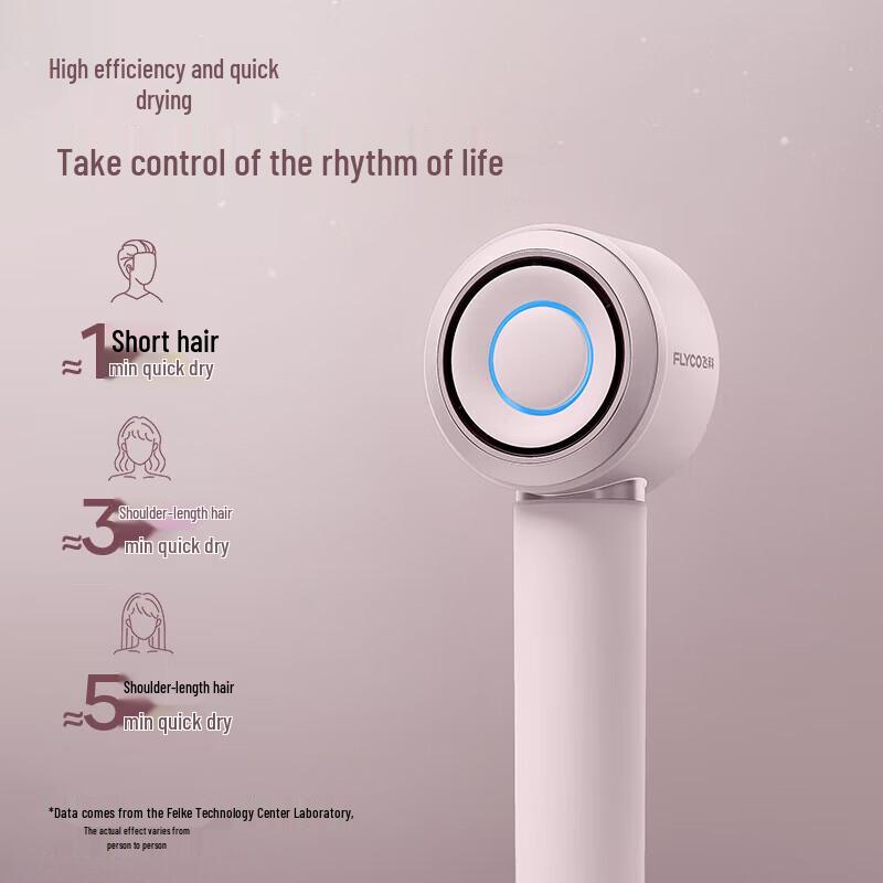 

FLYCO High-Speed Hair Dryer