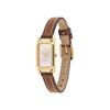 Coach CADIE 14504028 Women's Brown Watch