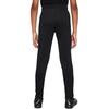Nike Knitted Sweatpants AcademySwoosh Black/Black/White HJ3720-010