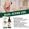 Tea Tree Ginger Nail Care Serum 30ml Nail Essence for Cuticle Repair Nail Strengthening and Nourishing Nail Treatment Solution for Hand and Foot Use