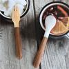 Tool Condiment Natural Conch Caviar Tableware Fork Shell Spoon Ice Cream Dessert Spoon Teaspoon