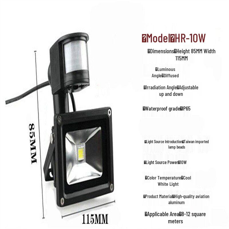 Rongyu 10W DC12V Motion Sensor LED Light