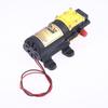 BS6500 8.0L/Min 12V Agricultural Electric Water Pump Self-priming Diaphragm Pump Spraying Pump Pesticide Water Pump