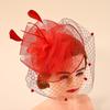Fascinator de Malla con Plumas Retro Británico para Novias, Derby, Bailes de Noche y Eventos Elegantes