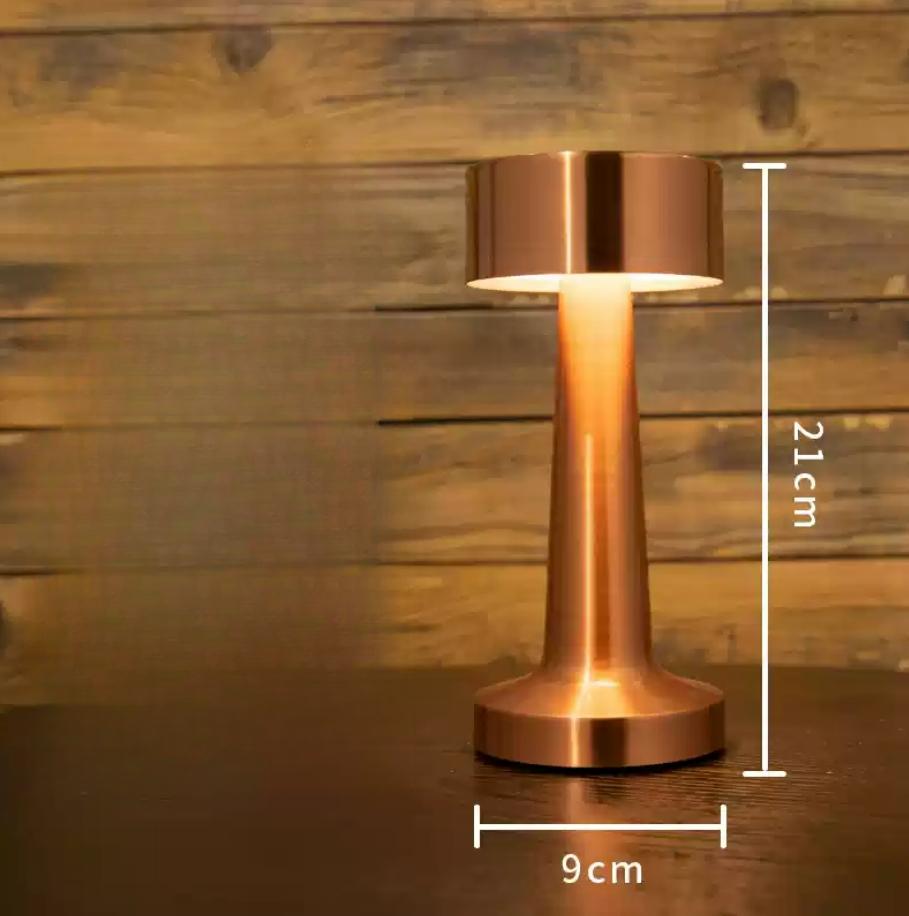 Portable LED Table Lamp, 3-Levels Brightness Metal Desk Lamp 3 Color Touch Control Rechargeable Night Light USB Outlet Extender Lamp Bedside Lamp