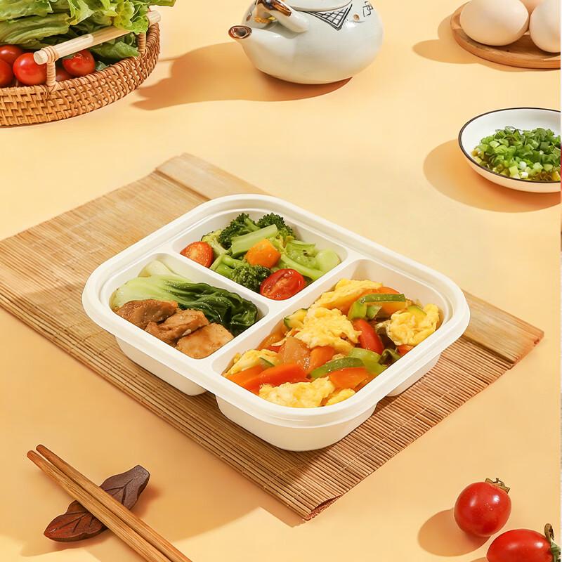 Eco-Friendly 3-Compartment Biodegradable Meal Boxes with Lids