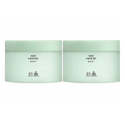 Hanyul Artemisia Moisture Soothing Pads 60 Sheets + 60 Sheets, 1 Set