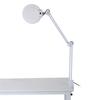 8X Illuminated Desktop Magnifying LED Lamp with Clamp Swivel Arm Reading Medical Beauty