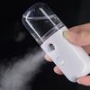 Small Spray Water Replenishing Instrument Sprayer Portable Handheld Humidifier