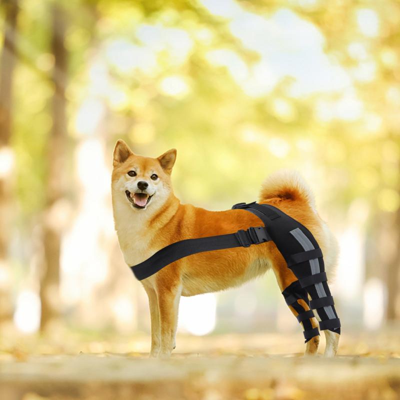 Pet Dog Knee Brace Adjustable Size Reflective Design Elastic Shoulder Strap Hind Legs Protective