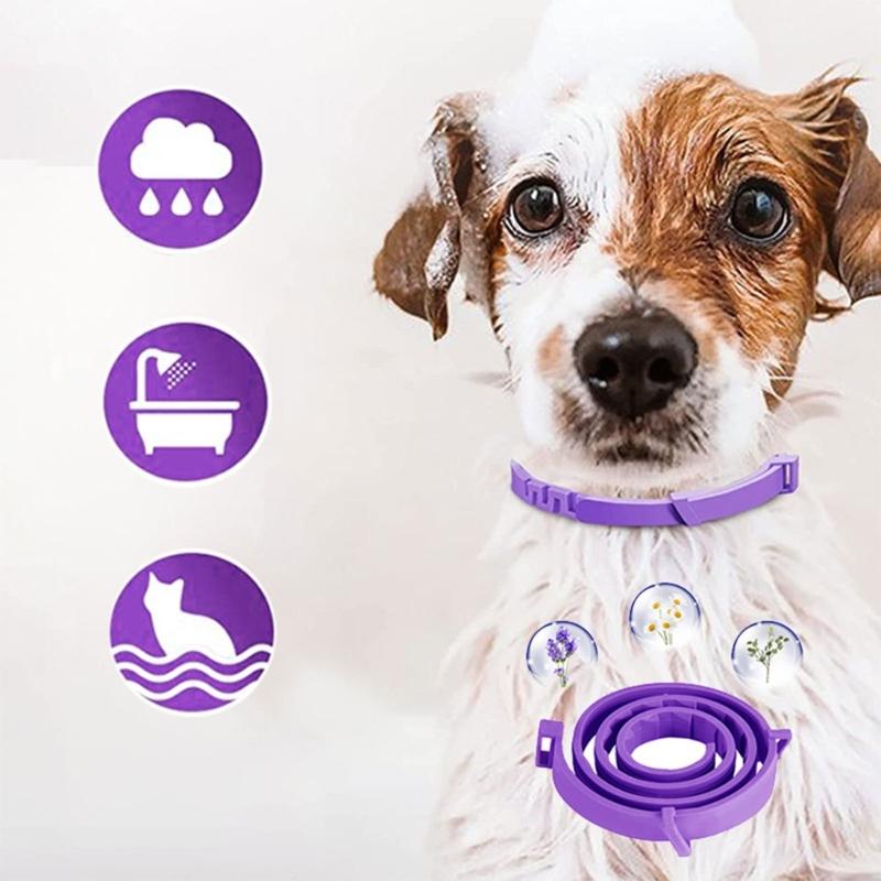 Collar Calmante para Mascotas Collar de Feromonas para Gatos Collar Calmante Impermeable para Perro Agresivo Gatito Malas Emociones Calmante Paquete de 3