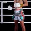 2025 Multicolor Boxing & Muay Thai Shorts, European Size, for Kickboxing & Sanda Competition and Training, Adult