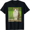 Funny Cute Jewish Cat Shabbat Shalom Wearing A Kippah Shirt Unisex Unisex Clothing Fashion Summer Streetwear Graphic Tshirts