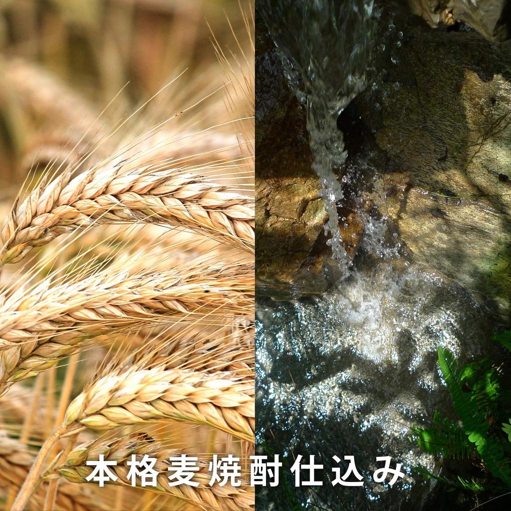 Kosei Brewery Kozuru Sour Yuzu Lemon Liqueur, 25% ABV, 600ml