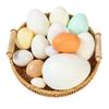 Simulation Egg Models for Photography Props - Creative Foam Eggs Set Includes Ostrich Dinosaur Quail Egg for Window Display