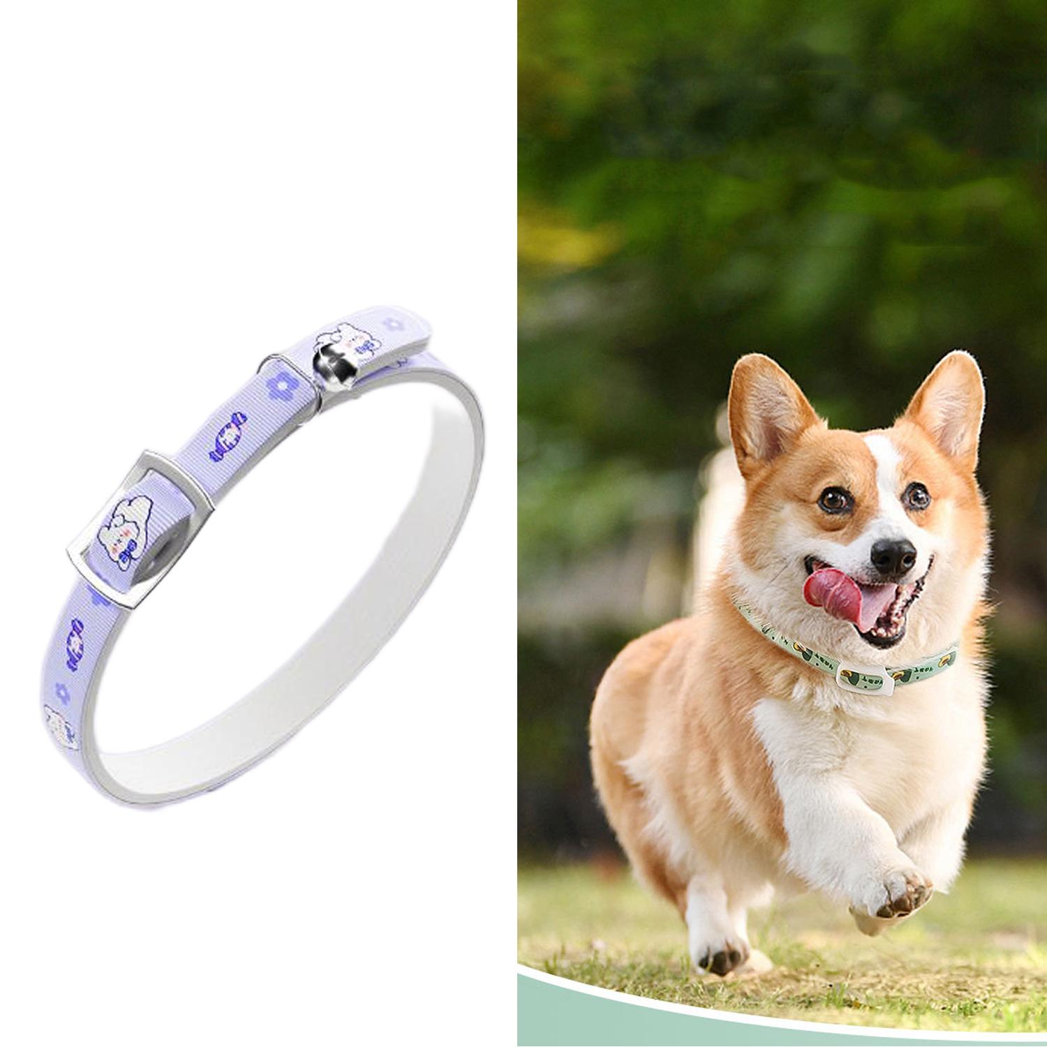 

Инструменты для удаления клещей с эфирным маслом растений, ошейник для домашних животных, натуральный химикат, не содержит химикатов, улучшает кожу домашних животных для кошек и собак color2