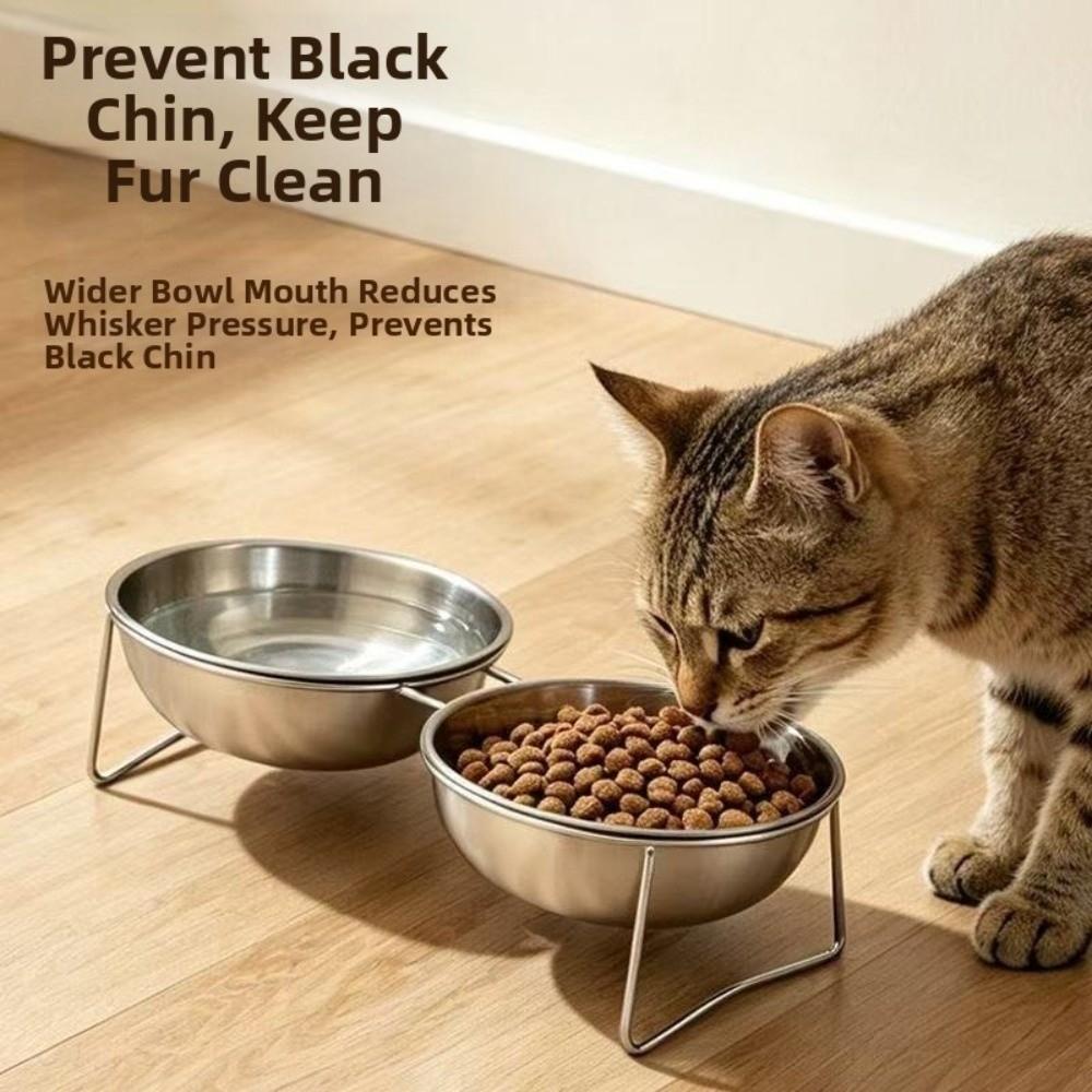Large Capacity Stainless Steel Cat Bowl Anti-Tipping Double Water Bowls  for Kitten