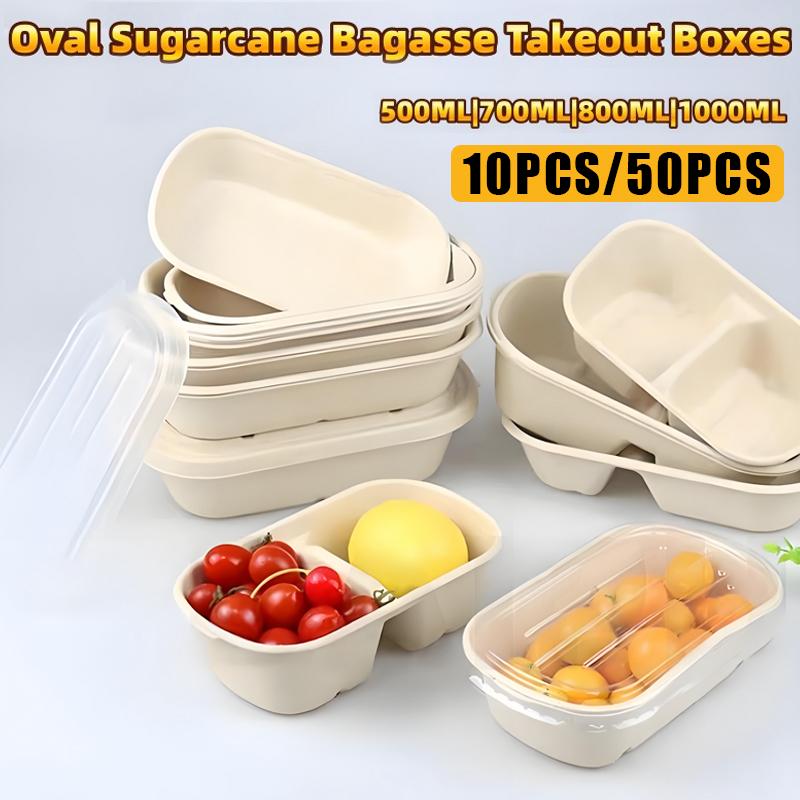 10/50 Stück Ovale Bagasse-Boxen aus Zuckerrohr Umweltfreundliche biologisch abbaubare Lebensmittelbehälter mit PET-Deckel