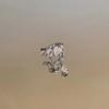 Exquisite Zircon Heart Drop Clip-On Earrings for Women - Fashionable and Versatile Jewelry with a High-End Feel (No Piercing Required)