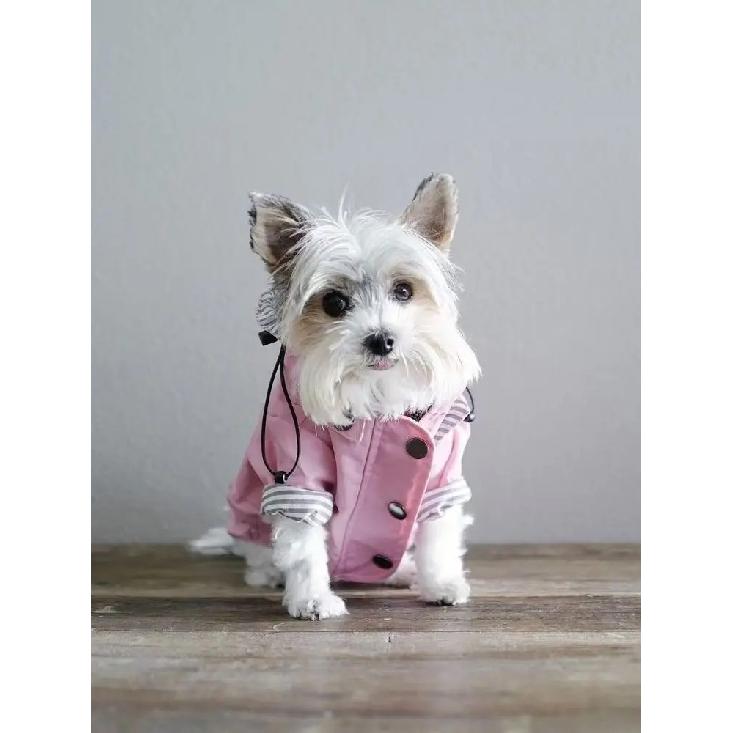 Wasserdichter Hundemantel für kleine, mittelgroße und große Hunde, Katzen, Haustier-Regenmantel, Hundesport-Kapuzenpullover, Haustiermode, hochwertige Kleidung