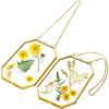 3 Glasrahmen mit gepressten Blumen, Kleiner Messing-Schwebrahmen mit Kette, Klarer DIY Handgemachter Heimwanddekor zur Präsentation von Kunstwerken, getrockneten Pflanzenproben