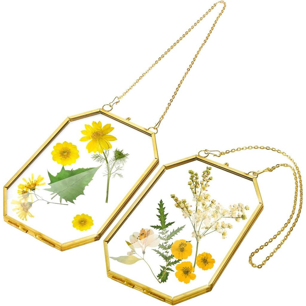 3 Glasrahmen mit gepressten Blumen, Kleiner Messing-Schwebrahmen mit Kette, Klarer DIY Handgemachter Heimwanddekor zur Präsentation von Kunstwerken, getrockneten Pflanzenproben