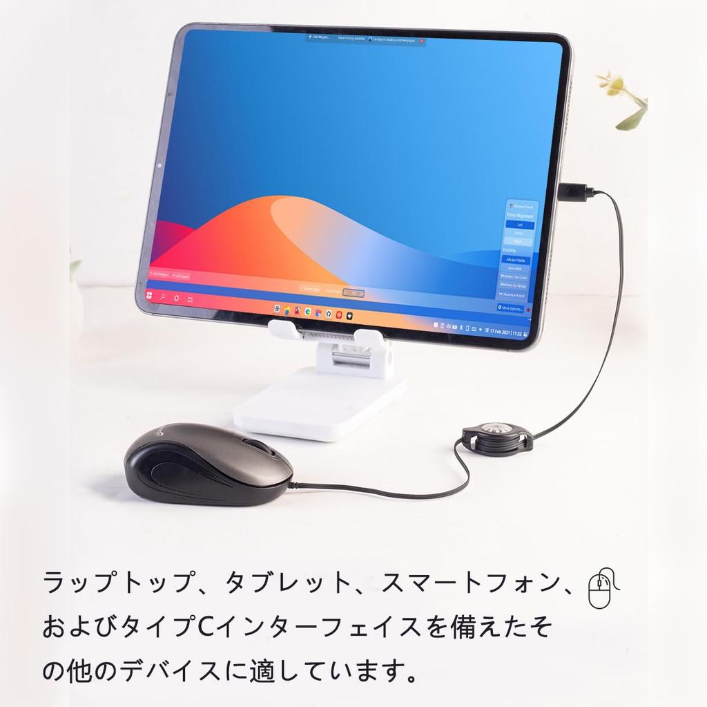 ELRCDNOX Compact Type-C Wired Mouse with Retractable Cable, Quiet Design, Optical, Lightweight, Ambidextrous, Compatible with Laptops, Tablets, and