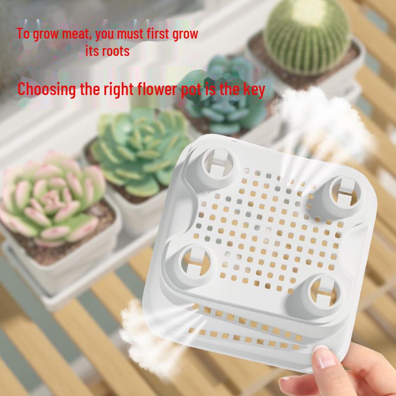 Exquisite Square Succulent Pots with Breathable Plastic Base for Office