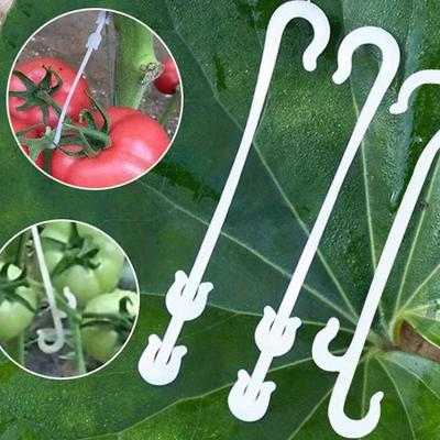 10 Stück, Kunststoff-Fruchthaken, Tomaten-Gemüse-J-Haken, Tomaten-Rankhaken zur Unterstützung von Pflanzen und Gemüse, Töpfen
