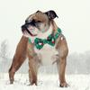 Pet Christmas Theme Print Collar With Removable Bow Tie And Bell Breakaway Buckle Safety For Puppy- Cute Pet Supplies