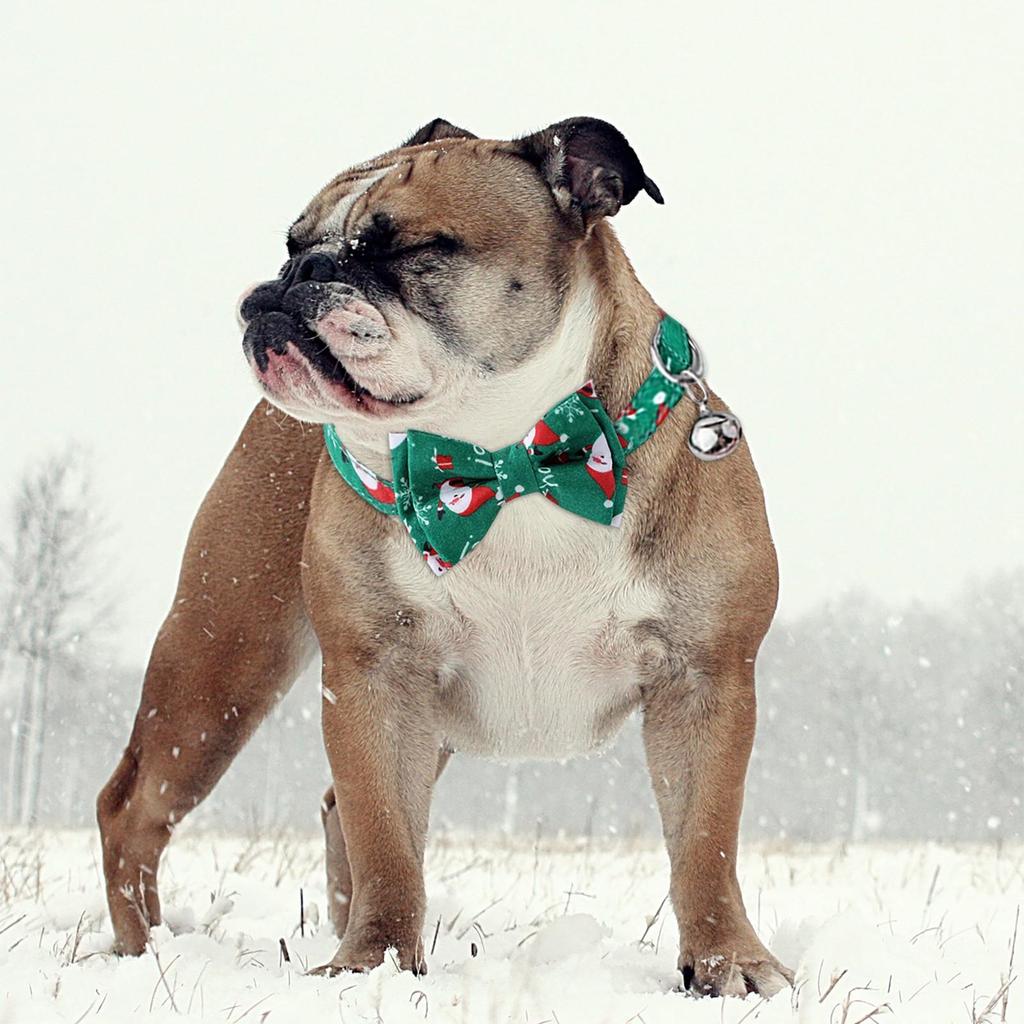 Pet Christmas Theme Print Collar With Removable Bow Tie And Bell Breakaway Buckle Safety For Puppy- Cute Pet Supplies