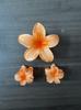 Gradient Plumeria Claw Clip Set: 18-Piece Floral Hair Accessories