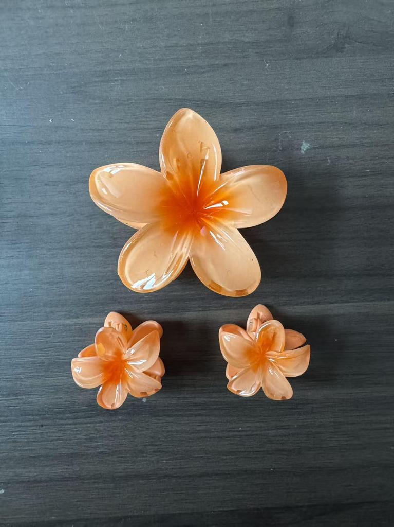 Gradient Plumeria Claw Clip Set: 18-Piece Floral Hair Accessories